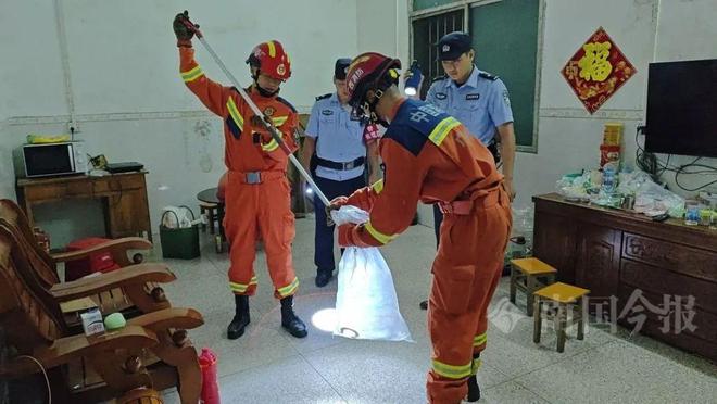 条“毒霸”入户藏匿之处让人胆寒AG真人百家家乐平台深夜柳州两