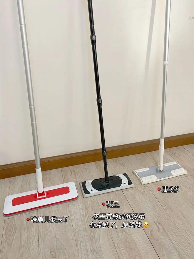 拼多多低成本租房好物（搬家还能带走）AG真人游戏第一品牌实用简单操作少(图4)